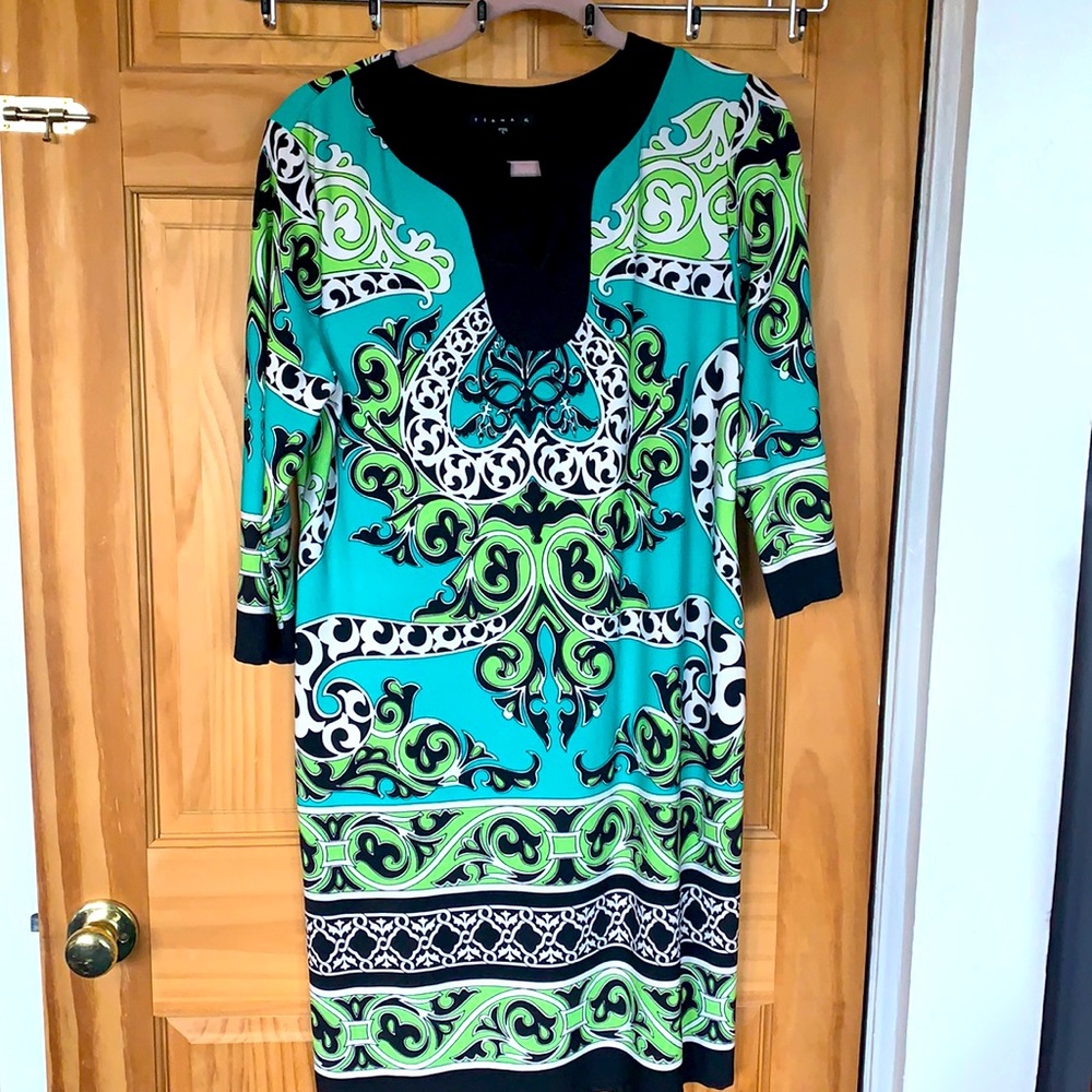 Ladies Print Dress